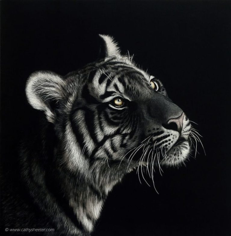 This artist portrays beauty of wildlife with hyperrealistic