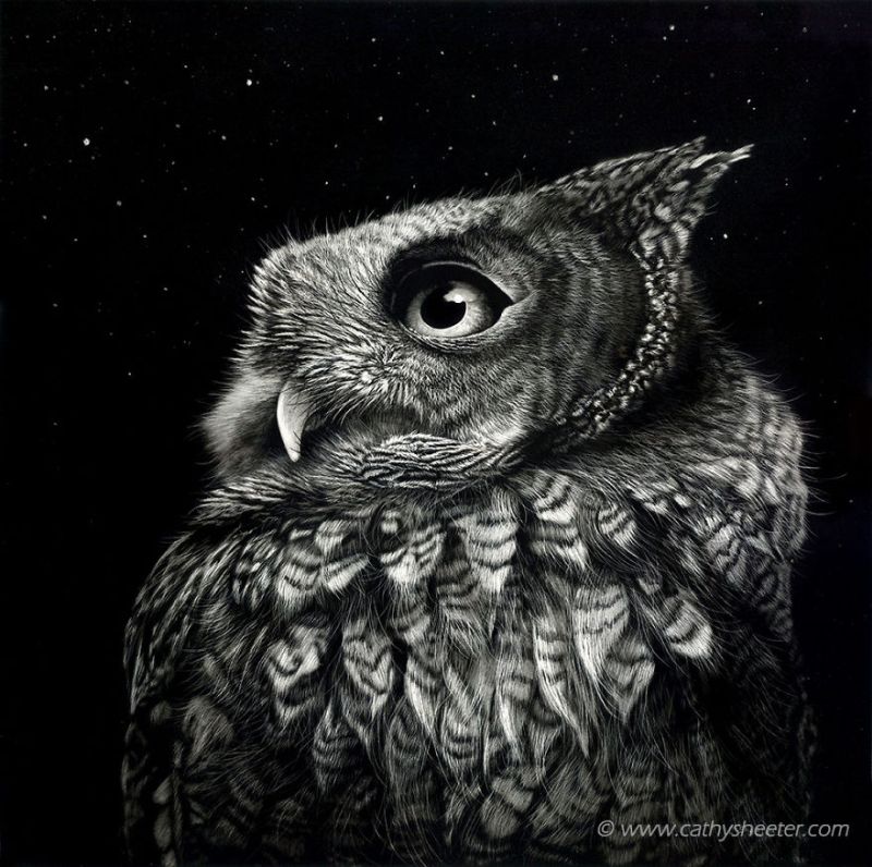 Hyperrealistic scratchboard Art by cathy sheeter4 EdgyMinds