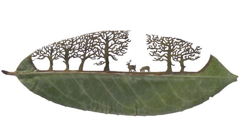 Leaf Art: Artist creates intriguing artwork on fallen leaves