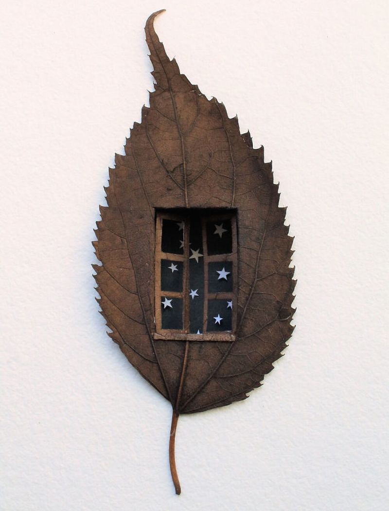 Leaf Art: Artist creates intriguing artwork on fallen leaves